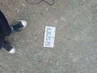 License Plate