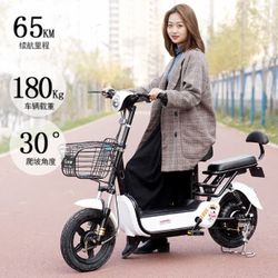500 Watt Electric Bike . 28 Mph . 45 Mile On Full Charge . Brand New 