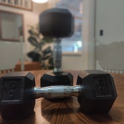 20lb Dumbbells 