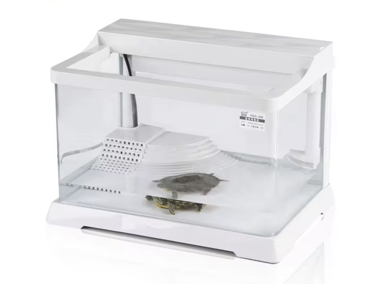 Red Eared Slider Turtle Tank