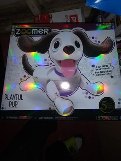 ZOOMER