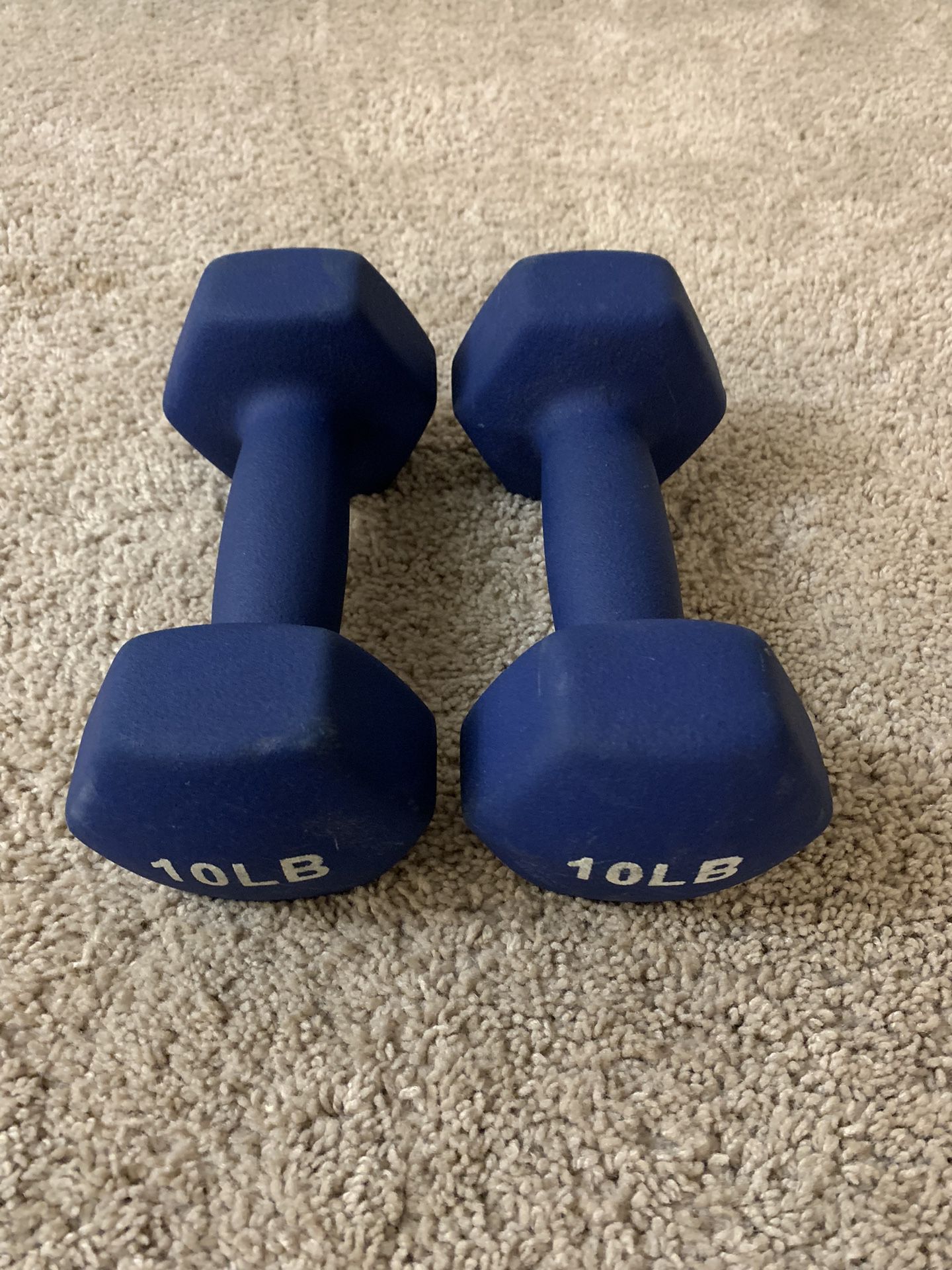 Dumbbells - Pair of 10s - Total 20 Pounds 