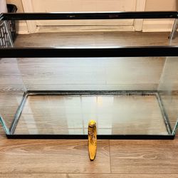 29 Gallon Long Glass Tank - Aquarium or Terrarium - Excellent Condition