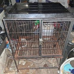 One Story Cage