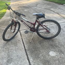 Women’s Aluminum Schwinn Bike 