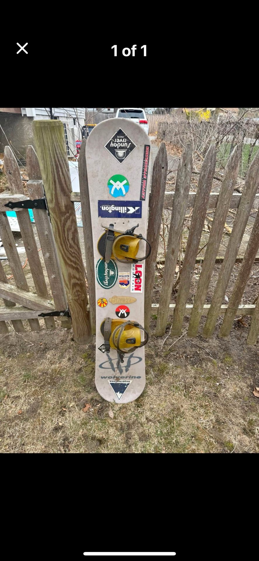 Vintage Wolverine Snowboard