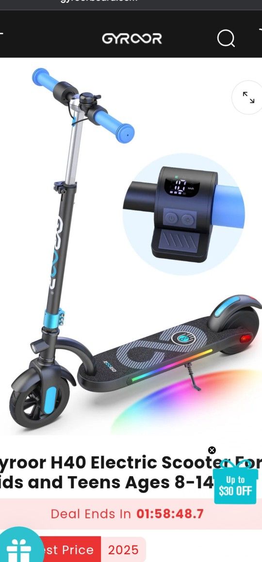 Electric Scooter