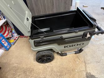Igloo cooler