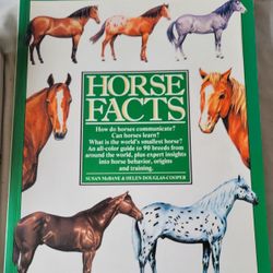 Farm - Horse Facts