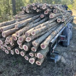 CEDAR POST FOR  FENCE. PALAPAS .PORCHS AND MORE