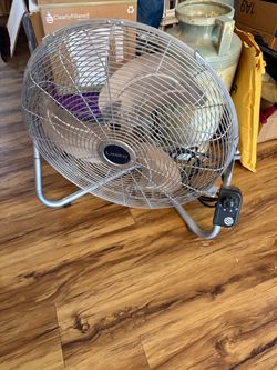 Big fan