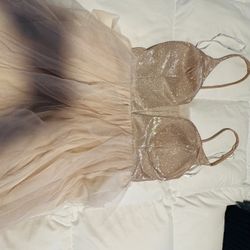 Windsor’s Prom Dress $20