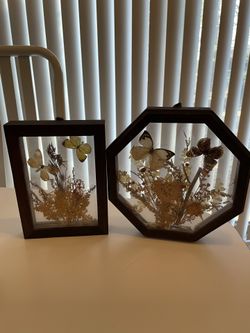 2 enclosed wooden framed glass dried flowers and butterflies