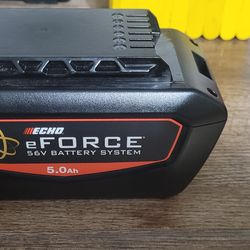 Eforce 56v battery  for echo tools
