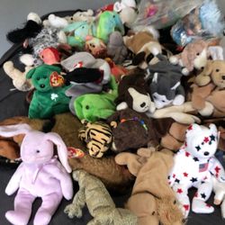 Beanie Babies Collection 100$ Cash