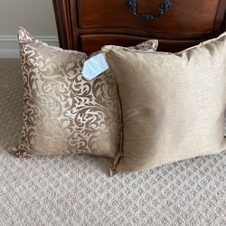 Throw Pillow 2 20x20 New 