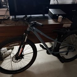Specialized Adult mountain bike