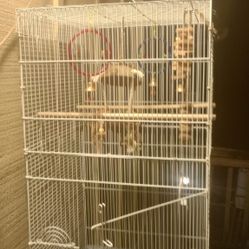Bird Cage