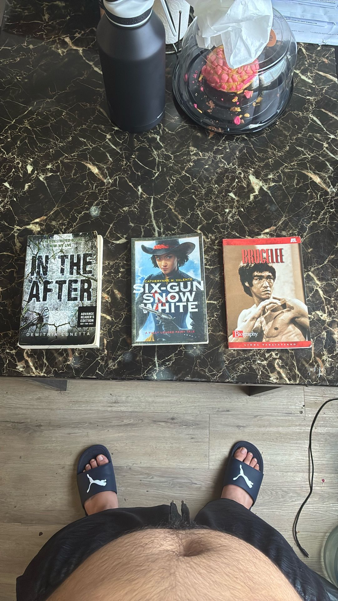 3 Books (In The After, Six-Gun Snow White, BruceLee)