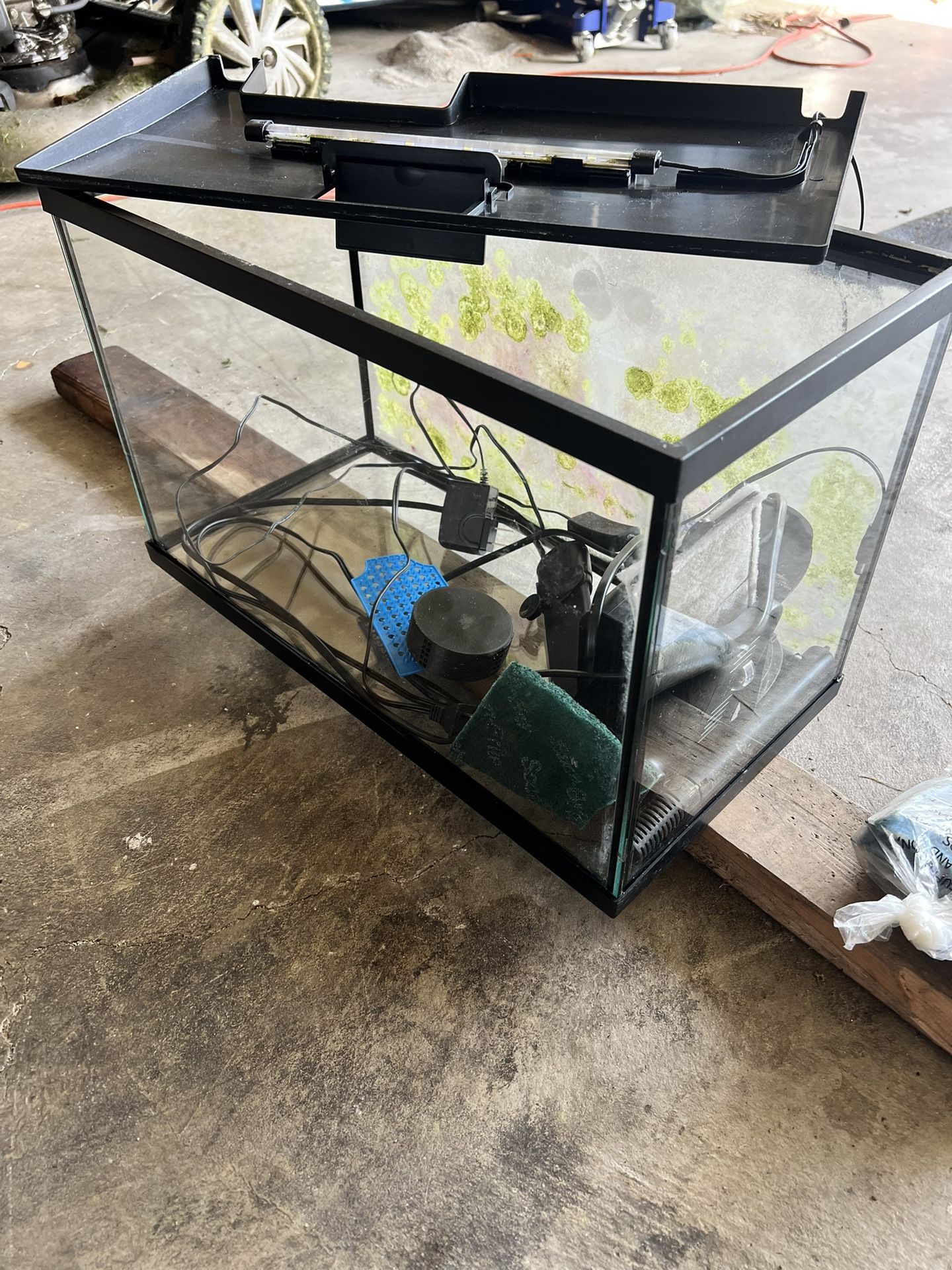 10 Gal Fish Tank