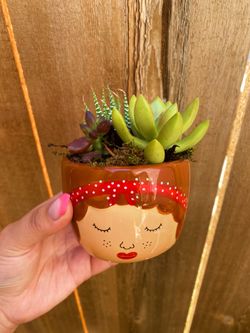 Face Succulent Arrangement