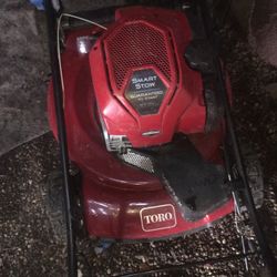Lawn Care