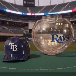 TB Rays Ball Cups