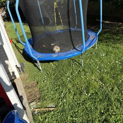 Trampoline 