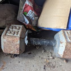 25 Pound Dumbbell 