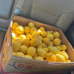 Organic Lemons