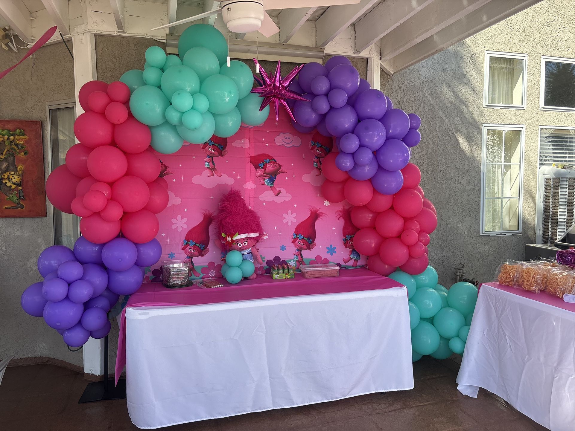 Ballon Arch And Backdrop 