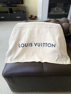 Louis Vuitton Rivoli MM in Damier Ebene