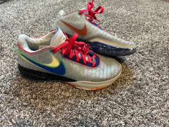 Nike LeBron 20 lifer