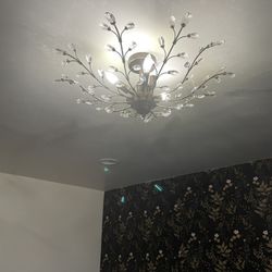 Celling Lamp