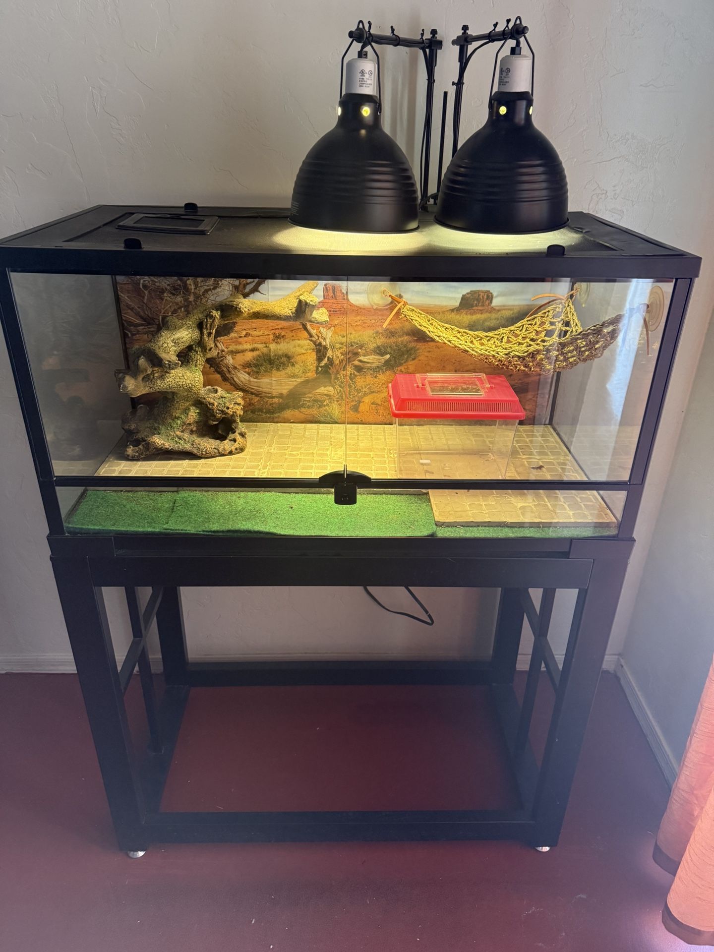Reptile Tank And Accessories 