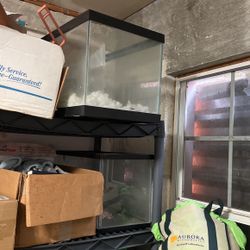 Fish Tank Glass Aquarium Terrarium Reptil Fish 