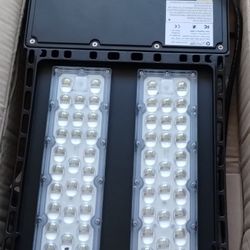 Light