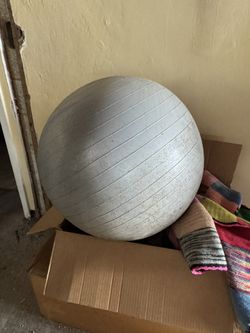 Workout Ball