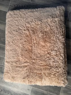OLANLY 8x10 Ft Area Rug – Soft & Machine Washable /Plush Shaggy Beige Area Rug