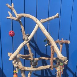 Funky Dual Level Macaw / Large  Parrot Perch … Thick And Curvy ! Lots Of Birdee Fun ! 👍🏼