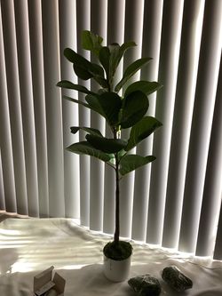 Artificial Fiddle Leaf Fig Tree 3ft with LED Remote