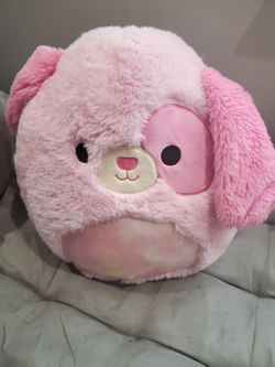 Chasen Squishmallow