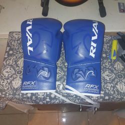 Rival Boxing Gloves 