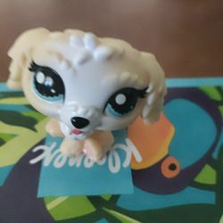 1- LPS (HASBRO).    $4.99 For 1             PICK ⛏️ UP ONLY