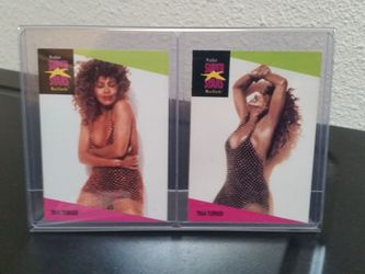 1991 Tina Turner music card display