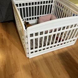 Pet Playpen