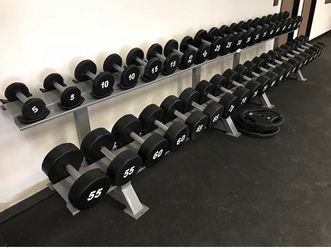 5-100 Pro Style Urethane Dumbbells