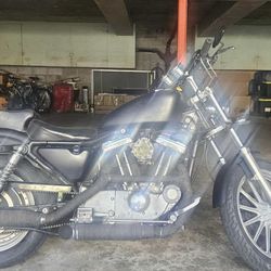 2002 Harley Davidson 883 Sportster