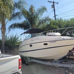 Cabin  Cruiser 