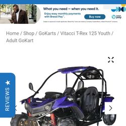 2 Seater Go Kart 